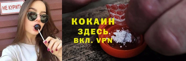 не бодяженный Заводоуковск