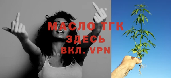 не бодяженный Заводоуковск