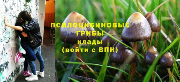 не бодяженный Заводоуковск