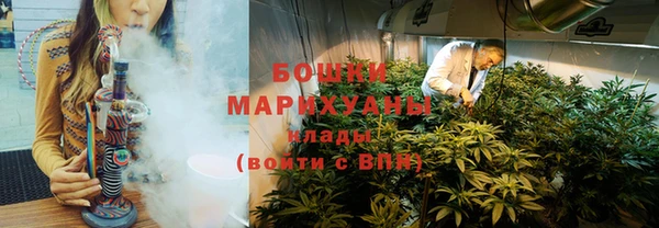 не бодяженный Заводоуковск