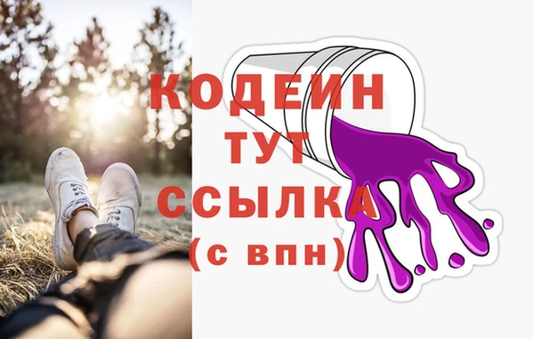 не бодяженный Заводоуковск