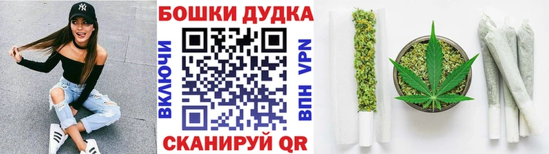 Шишки марихуана сатива Инсар